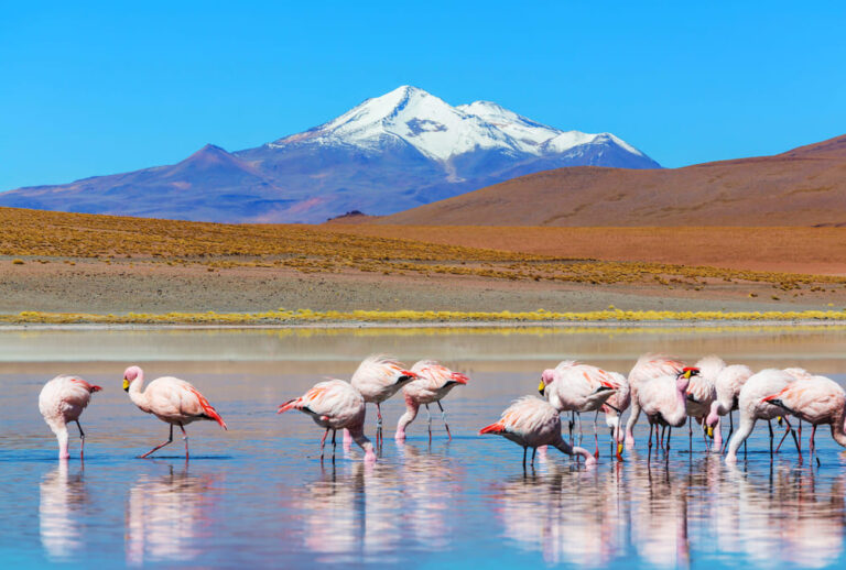 Bolivia
